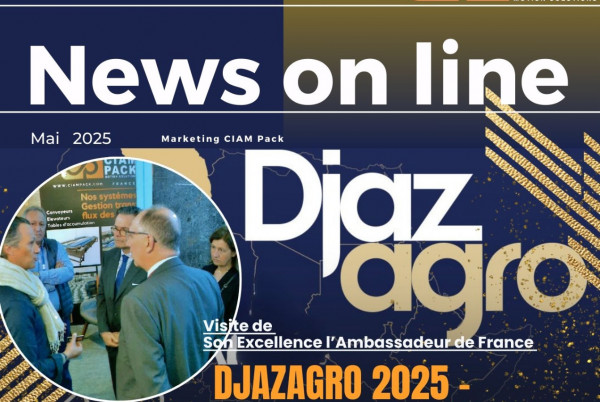 2025 News on line
