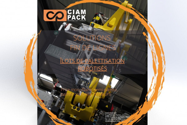 Solutions fin de lignes       ÎLOTS DE PALETTISATION ROBOTISÉS