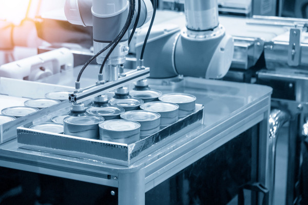Solutions fin de ligne machines packaging et palettisation robotisées